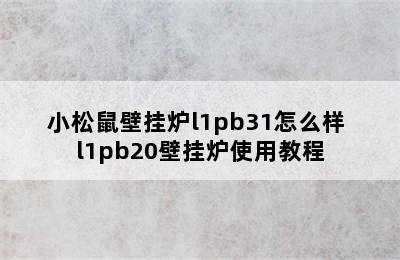 小松鼠壁挂炉l1pb31怎么样 l1pb20壁挂炉使用教程